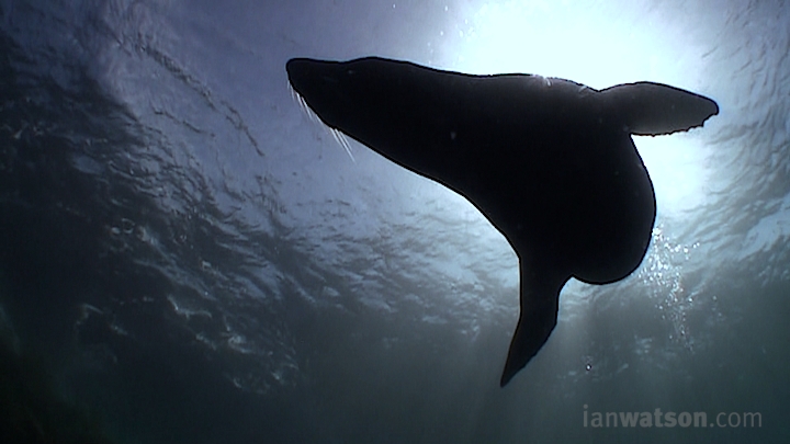 Slideshow Image 3